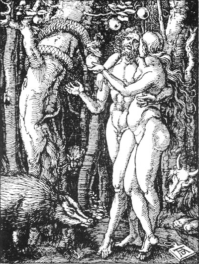 Der Sündenfall (The Fall of Man) Albrecht Durer